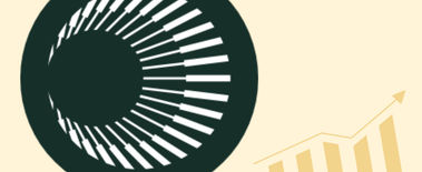 Popcat Soars to New ATH as Investors Eye Solciety