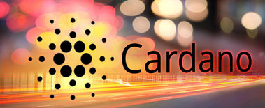 Popcat Soars to New ATH as Investors Eye Solciety