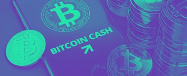 Popcat Soars to New ATH as Investors Eye Solciety