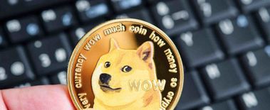 Popcat Soars to New ATH as Investors Eye Solciety