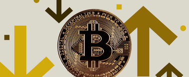 Popcat Soars to New ATH as Investors Eye Solciety