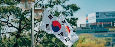 Popcat Soars to New ATH as Investors Eye Solciety