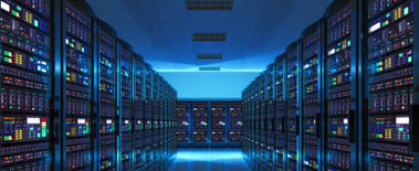 Popcat Soars to New ATH as Investors Eye Solciety