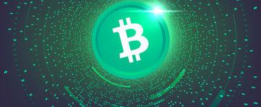 Popcat Soars to New ATH as Investors Eye Solciety