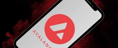 Popcat Soars to New ATH as Investors Eye Solciety