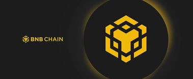 Popcat Soars to New ATH as Investors Eye Solciety