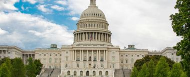 Popcat Soars to New ATH as Investors Eye Solciety