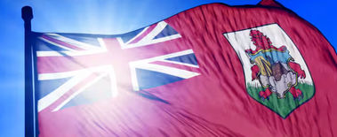 Popcat Soars to New ATH as Investors Eye Solciety