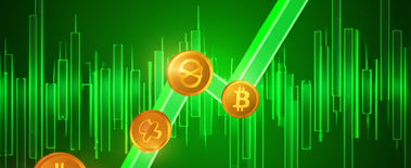 Popcat Soars to New ATH as Investors Eye Solciety