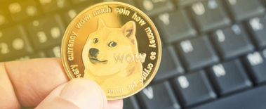 Popcat Soars to New ATH as Investors Eye Solciety