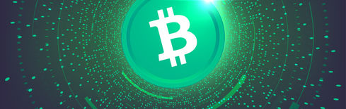 Bitcoin Cash (BCH) strebt $500 an, inmitten von erneutem institutionellem Interesse