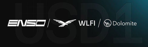 USD1 kooperiert mit Enso für verbesserte DeFi-Integration