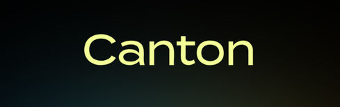 Canton Network Coin erholt sich, da sich die Dynamik stabilisiert