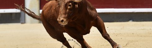 Kryptomarkt-Rallye kommt zum Stillstand, da der Senat den CLARITY Act Markup zurückzieht