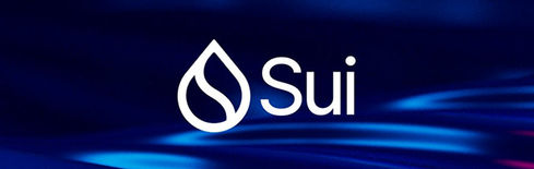 Sui Network veröffentlicht Whitepaper zu programmierbarer Privatsphäre