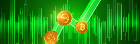 Krypto-Rallye heute: Warum BTC und Altcoins wie Dash, PEPE und ICP steigen