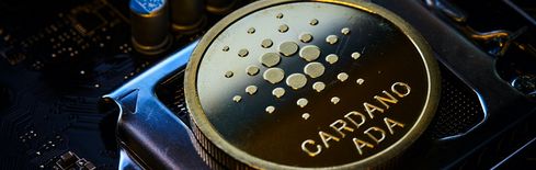 Cardano-Wale investieren 82 Millionen Dollar in ADA, während Privatanleger sich zurückziehen