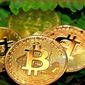 Trump-Unterstützte American Bitcoin plant Börsengang durch $350M Gryphon Digital Fusion