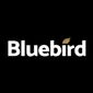 Bluebird Mining Ventures übernimmt Bitcoin-Treasury-Strategie