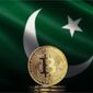 Vorschlag Pakistans, 2000 MW für das Bitcoin-Mining zuzuweisen, vom IWF abgelehnt