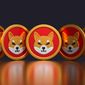 Shiba Inu bereitet sich auf einen großen Durchbruch vor, da die Walaktivität ansteigt