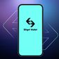 Bitget Token steigt um 14%, während Morph Chain Partnership $1B BGB verbrennt