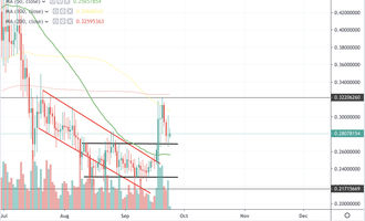IOTA Kurs