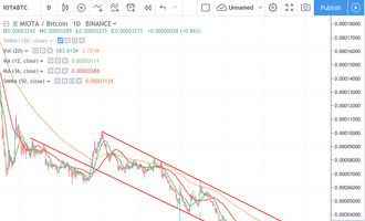 IOTA Kurs