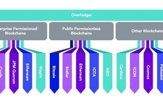 Quant Network QNT Funktion