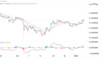 Hedera Preis 05.01.22