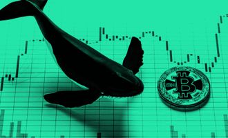 Bitcoin Whale Alarm: BTC Whales transferieren rund 10.000 BTC und werden wieder aktiver