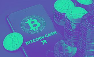 Bitcoin Cash (BCH) bald bei 3000 USD? - Kim Dotcom sieht Wachstum von mehr als 800%