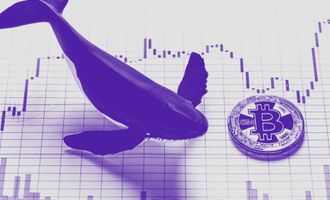 Bitcoin Whale Alarm: Treibt ein Wal den BTC Kurs unter die 8.000 USD Marke?