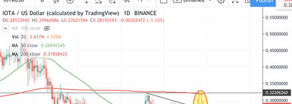 IOTA Kurs