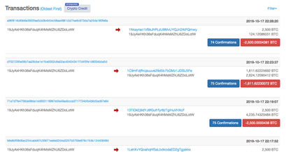 Bitcoin Whale Transaktion im Detail