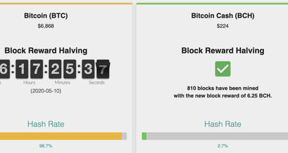 Bitcoin BTC BSV BCH Hashrate Halving