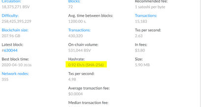 Bitcoin Satoshi Vision Hashrate