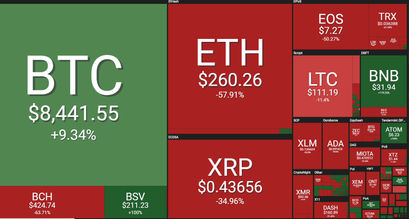 btc-one-year-performance