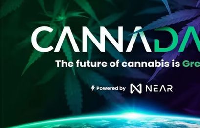CannaDAO startet die erste dezentrale Cannabis-Anbauplattform der Welt