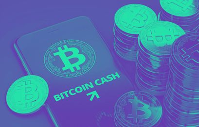 Bitcoin Cash ein Shitcoin? - BitMEX CEO lästert über BCH