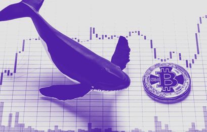 Bitcoin Whale Alarm: Bitcoin Whales bewegen fast 23.000 BTC