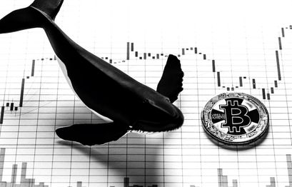 Bitcoin Whale Update: 856.000 BTC Transaktion auf Coinbase zurückzuführen