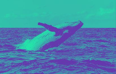 Ethereum Plus Token Whale Alarm - Gefahr eines 100.000.000 USD Dump?