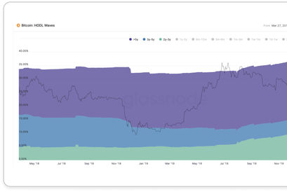 Bitcoin HODL Waves Chartübersicht