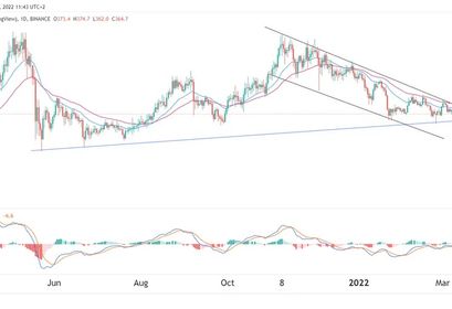 BNB Preisprognose 15.03.22