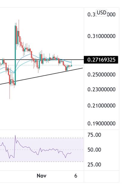 Dogecoin Preisprognose 05.11.21