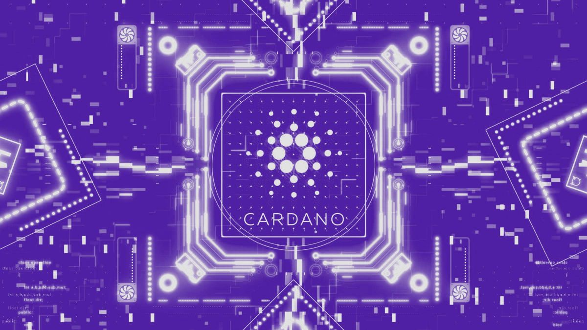 Cardano Kurs Steigt Um In Tagen Was Ist Passiert