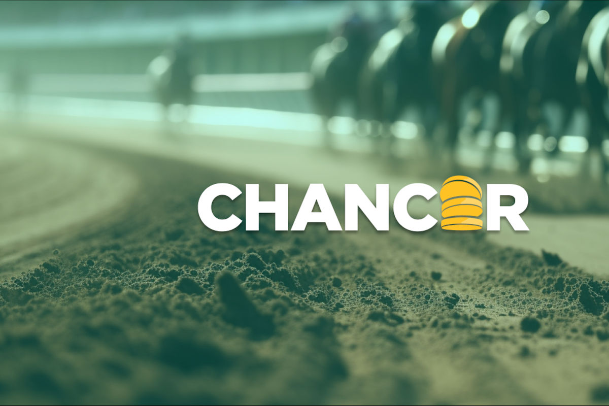 Le prix de Cardano augmente alors que la prévente Chancer commence - La Crypto Monnaie