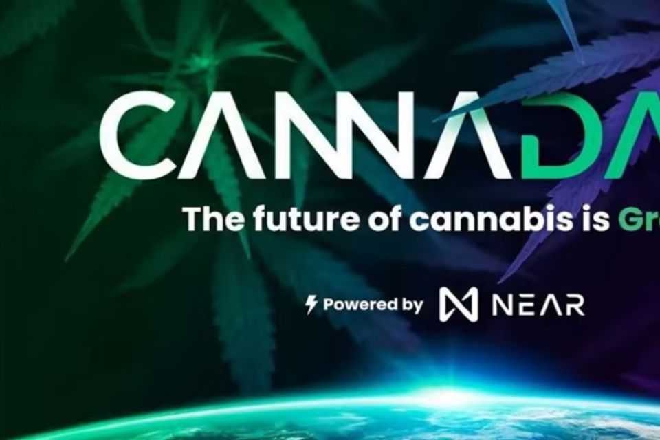 CannaDAO startet die erste dezentrale Cannabis-Anbauplattform der Welt