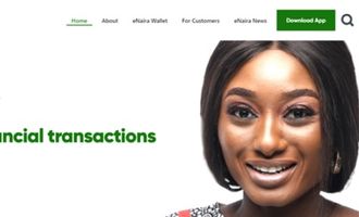 Website von eNaira
